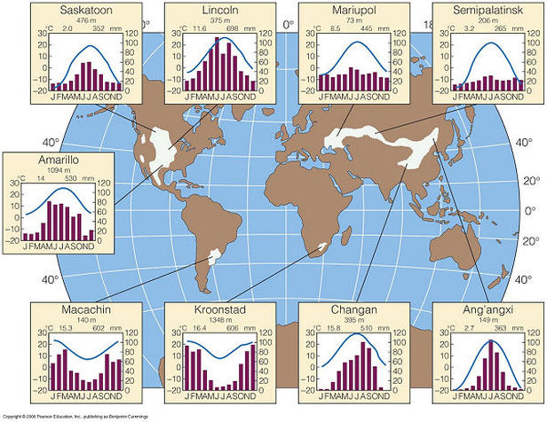 Climatogram Temperate Grasslands Climatogram Temperate Grasslands