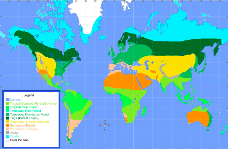 Temperate Grassland Temperature Insights Temperate Grassland Temperature Insights
